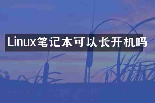 Linux笔记本可以长开机吗