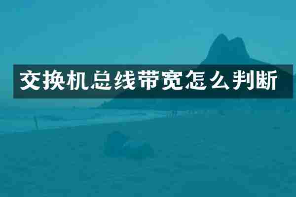交换机总线带宽怎么判断
