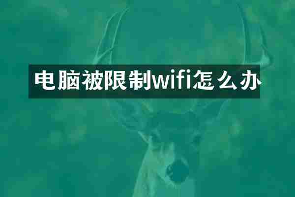 电脑被限制wifi怎么办