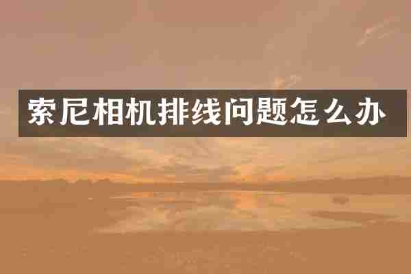 相机排线问题怎么办