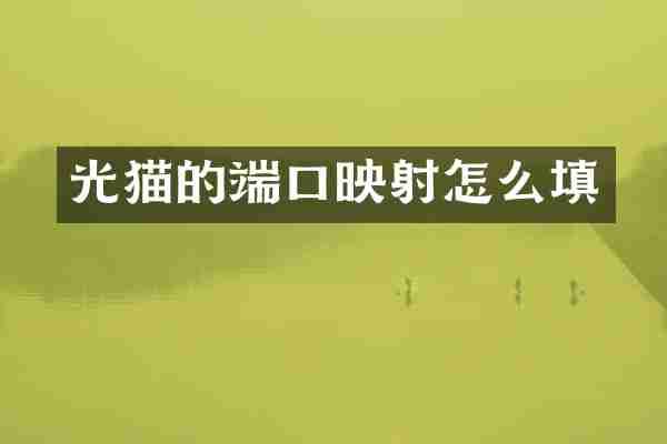 光猫的端口映射怎么填