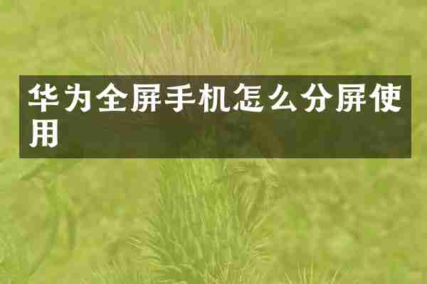 华为全屏手机怎么分屏使用