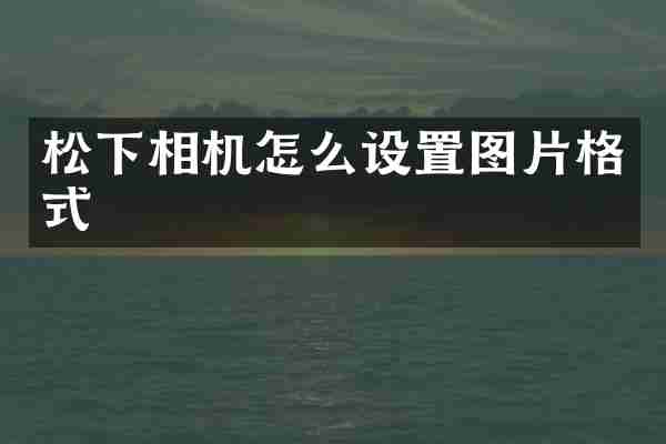 松下相机怎么设置图片格式