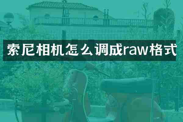 索尼相机怎么调成raw格式