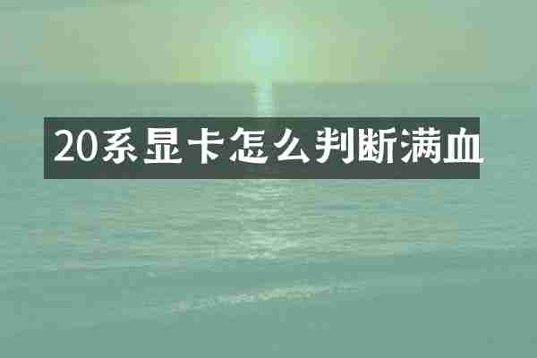 20系显卡怎么判断满血