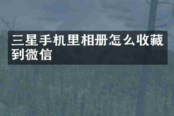 三星手机里相册怎么收藏到微信