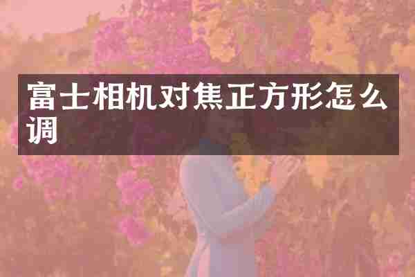 富士相机对焦正方形怎么调