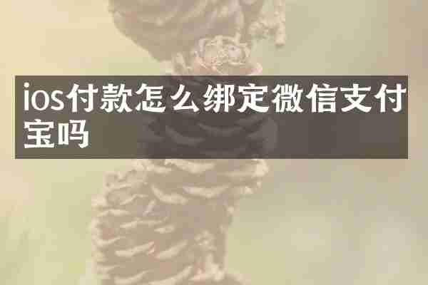 ios付款怎么绑定微信支付宝吗