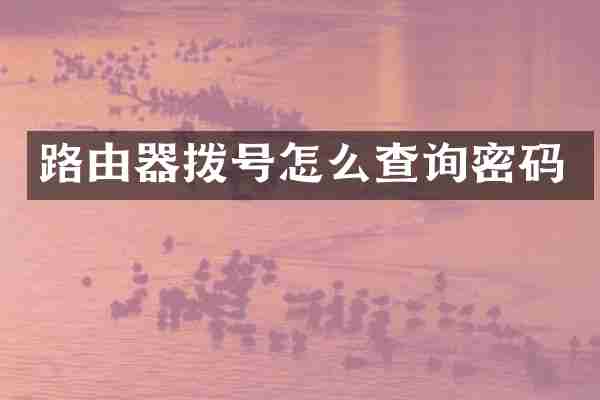 路由器拨号怎么查询密码