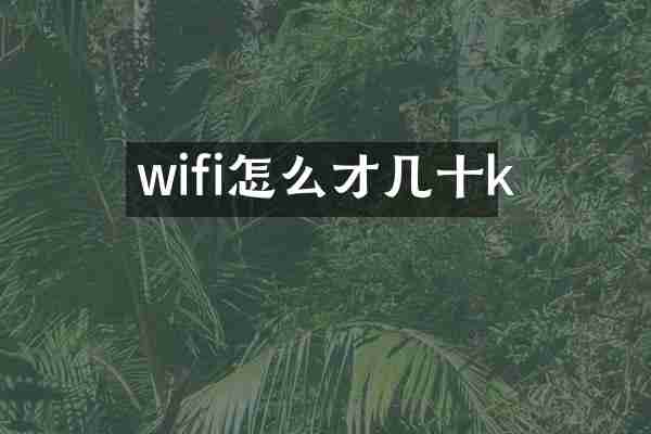 wifi怎么才几十k