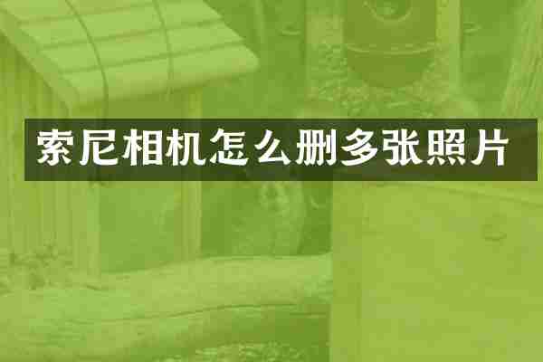 相机怎么删多张照片