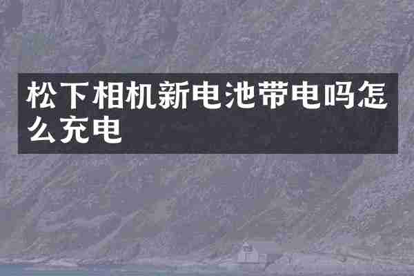 相机新电池带电吗怎么充电