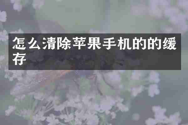 怎么清除苹果手机的的缓存
