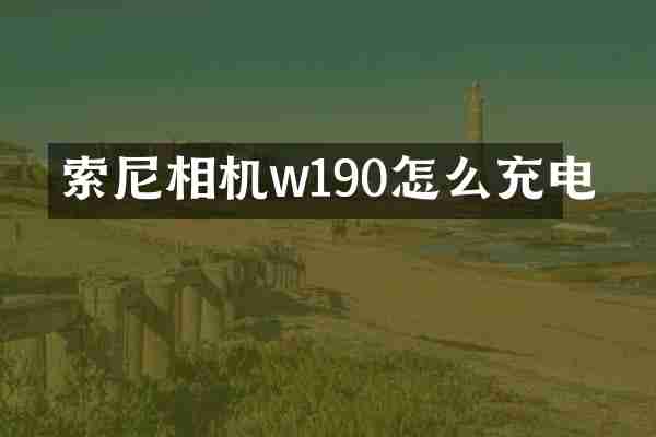 相机w190怎么充电