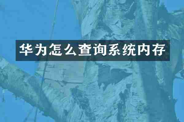 华为怎么查询系统内存