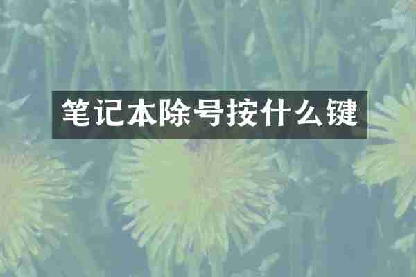 笔记本除号按什么键