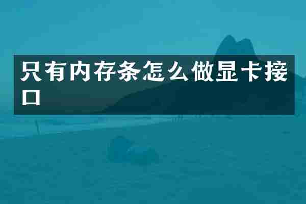 只有内存条怎么做显卡接口