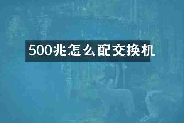 500兆怎么配交换机