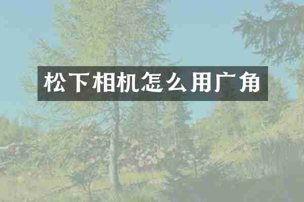松下相机怎么用广角