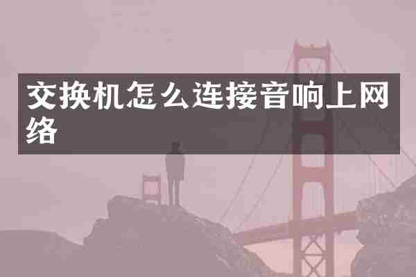 交换机怎么连接音响上网络