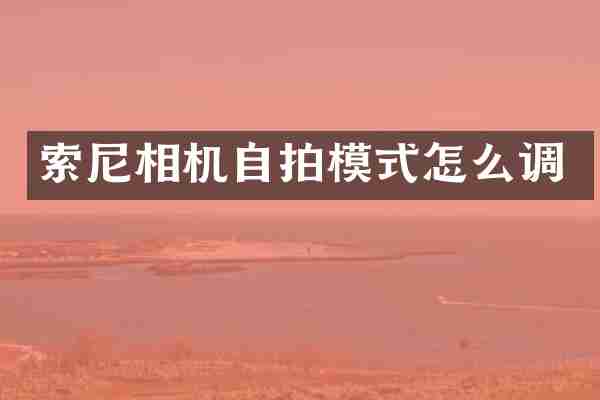 索尼相机自拍模式怎么调