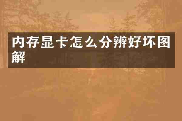 内存显卡怎么分辨好坏图解