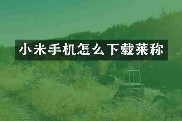 小米手机怎么下载莱称