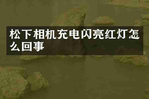 松下相机充电闪亮红灯怎么回事