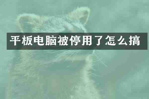 平板电脑被停用了怎么搞