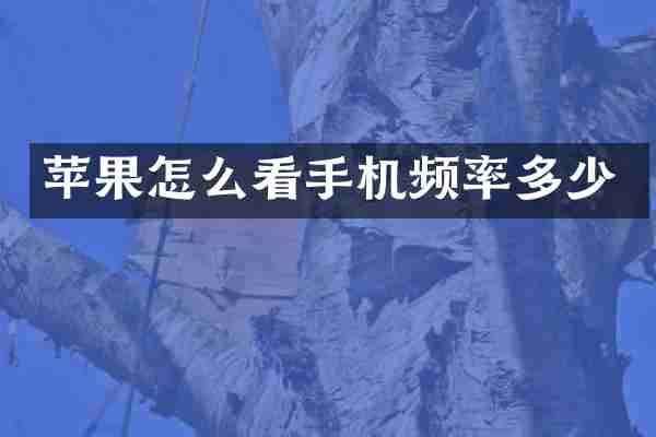 苹果怎么看手机频率多少