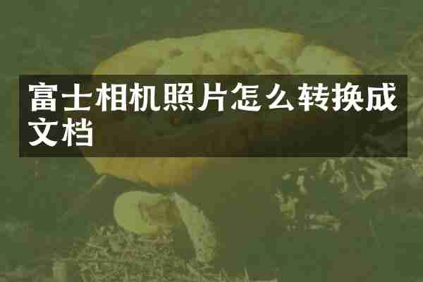 富士相机照片怎么转换成文档