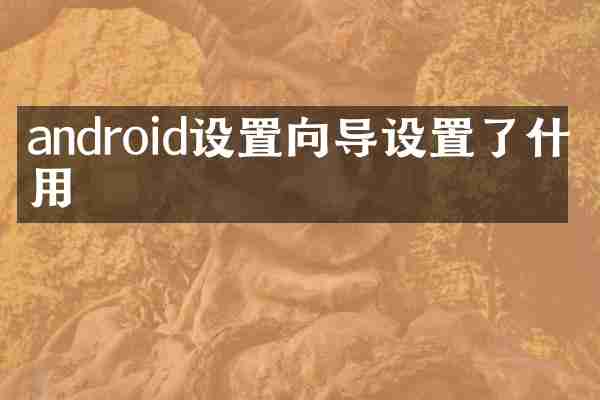 android设置向导设置了什么用