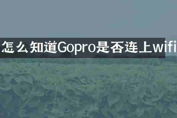 怎么知道Gopro是否连上wifi