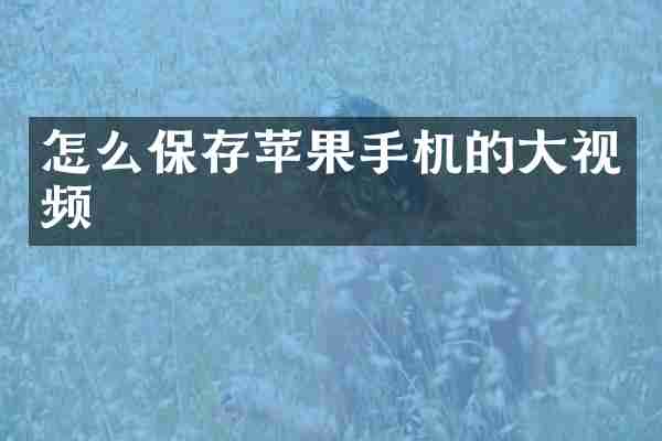 怎么保存苹果手机的大视频