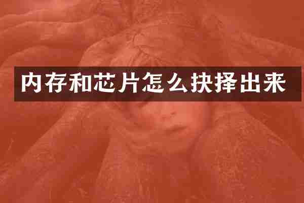 内存和芯片怎么抉择出来