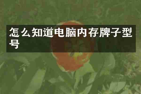 怎么知道电脑内存牌子型号