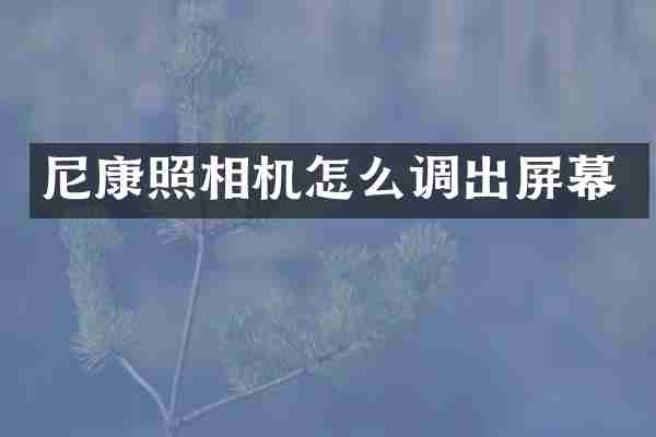 尼康照相机怎么调出屏幕