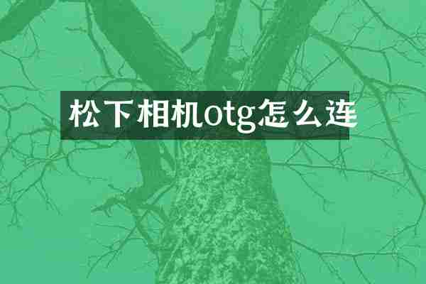 相机otg怎么连