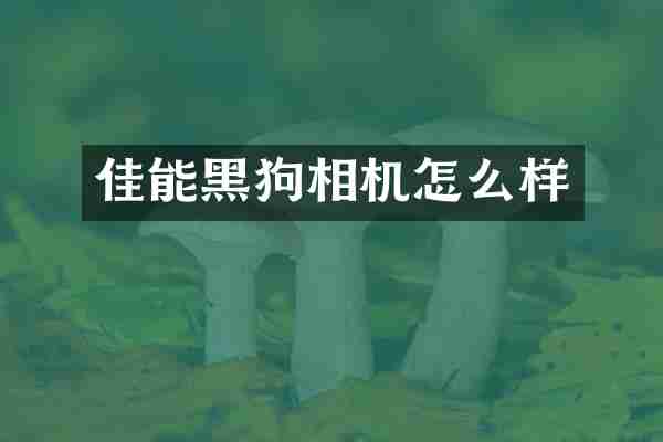 佳能黑狗相机怎么样