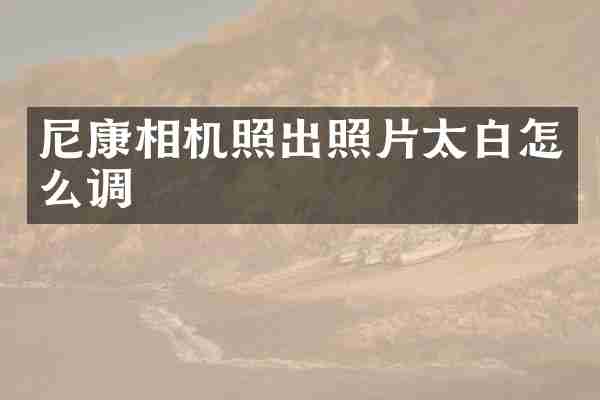 尼康相机照出照片太白怎么调