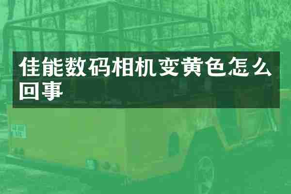 佳能数码相机变黄色怎么回事