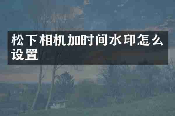 相机加时间水印怎么设置