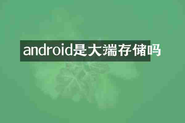 android是大端存储吗