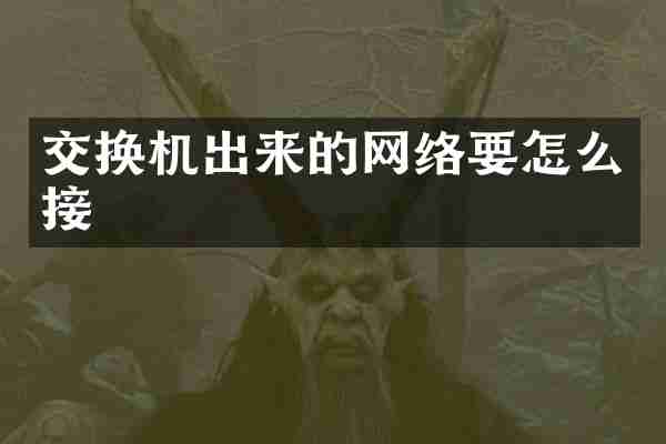 交换机出来的网络要怎么接