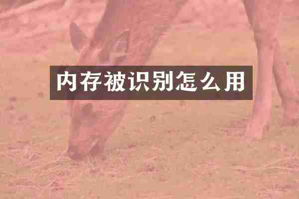 内存被识别怎么用