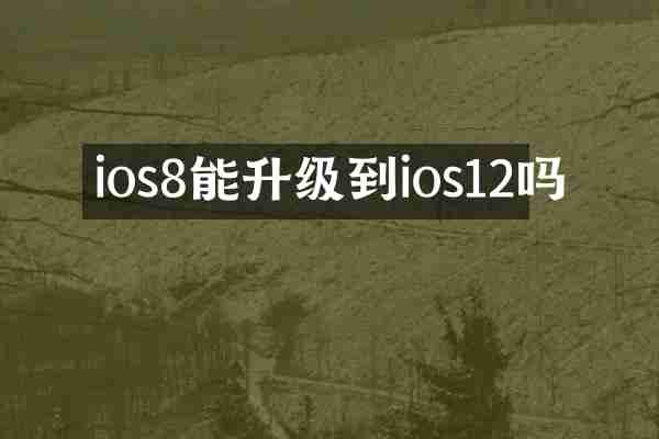 ios8能升级到ios12吗