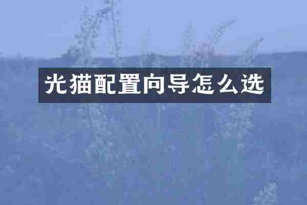 光猫配置向导怎么选
