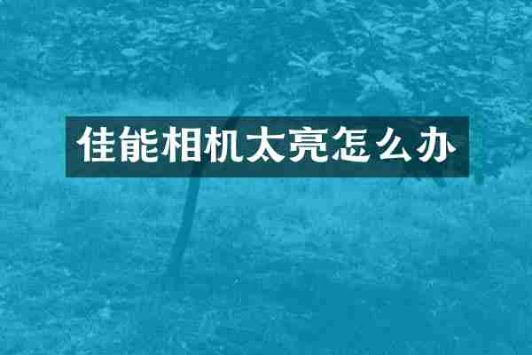 佳能相机太亮怎么办