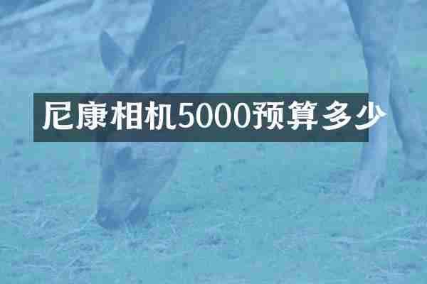 尼康相机5000预算多少