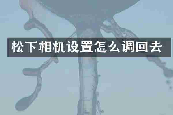 相机设置怎么调回去